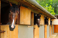 free Three Oaks stable construction quotes